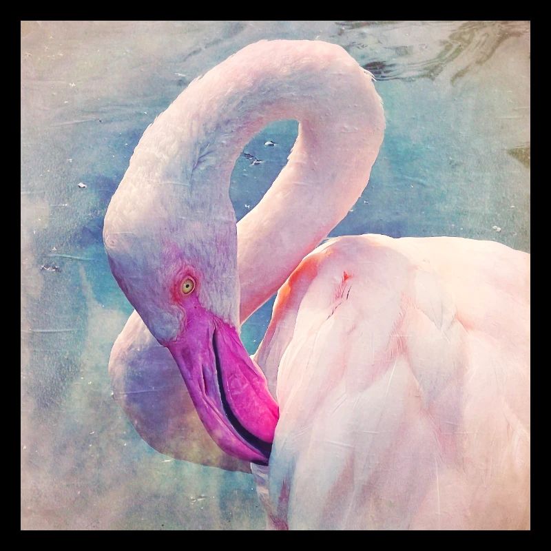 Flamingo in pastel light