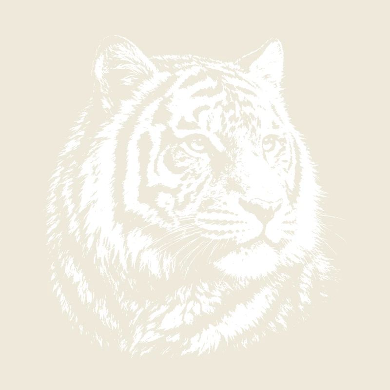 Tiger contrast portrait