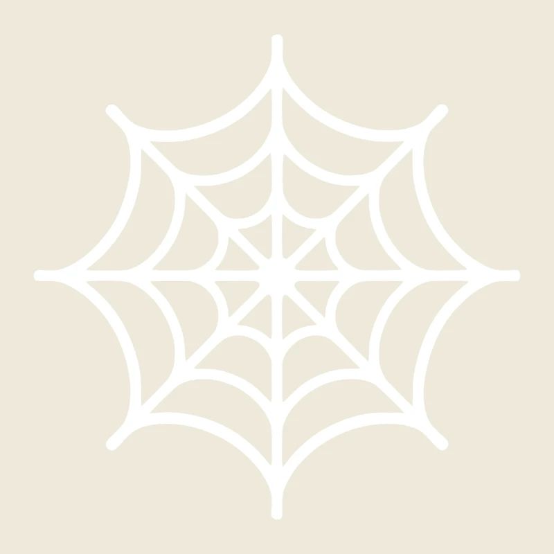 Spider Web Spider