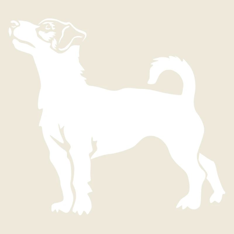 Jack Russell Terrier « Black Edition »