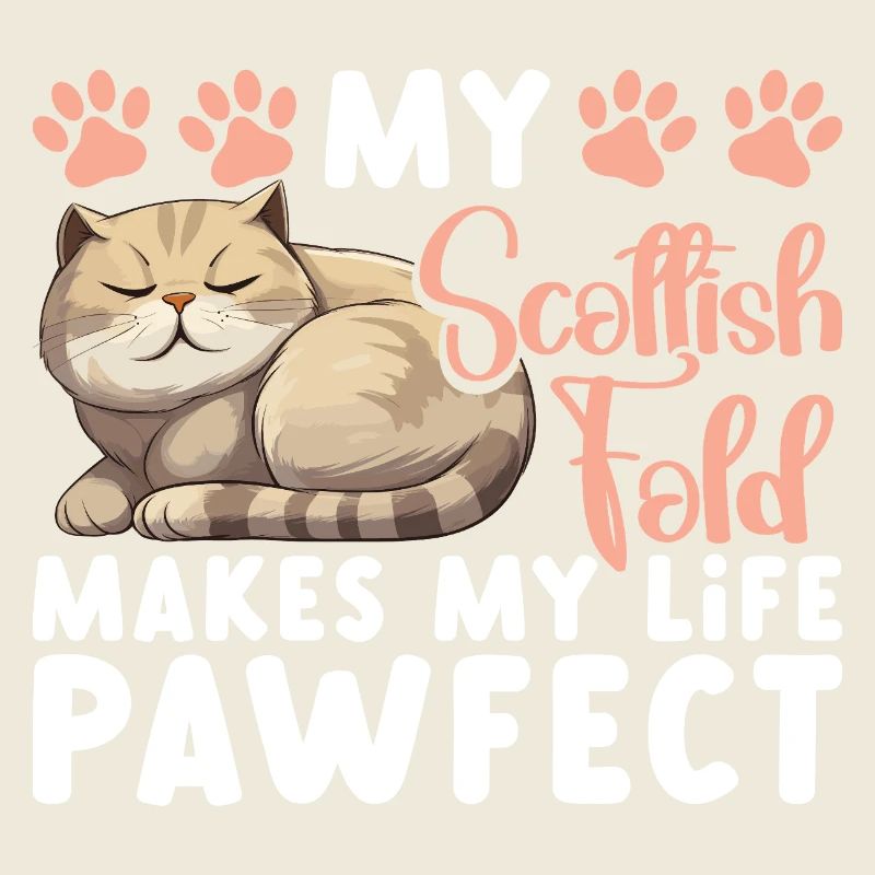 Propriétaire de Scottish Fold Chat Peluche Écossais