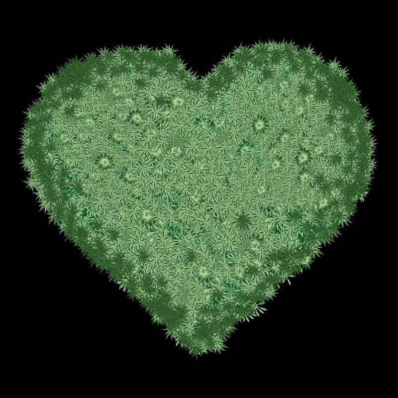 coeur de mousse décorative vert juteux