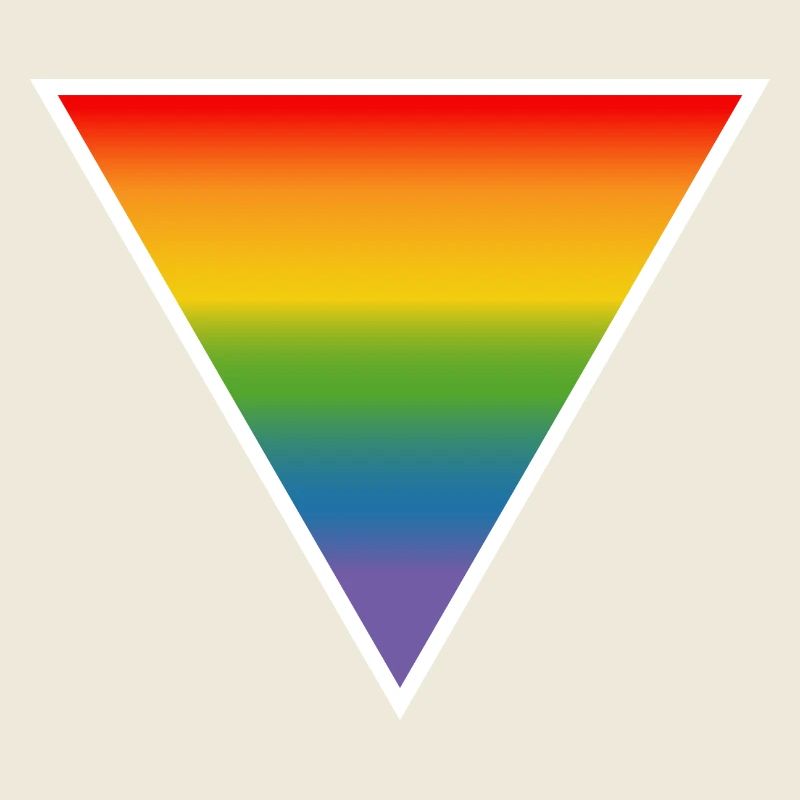 Rainbow LGBTQIA triangle white