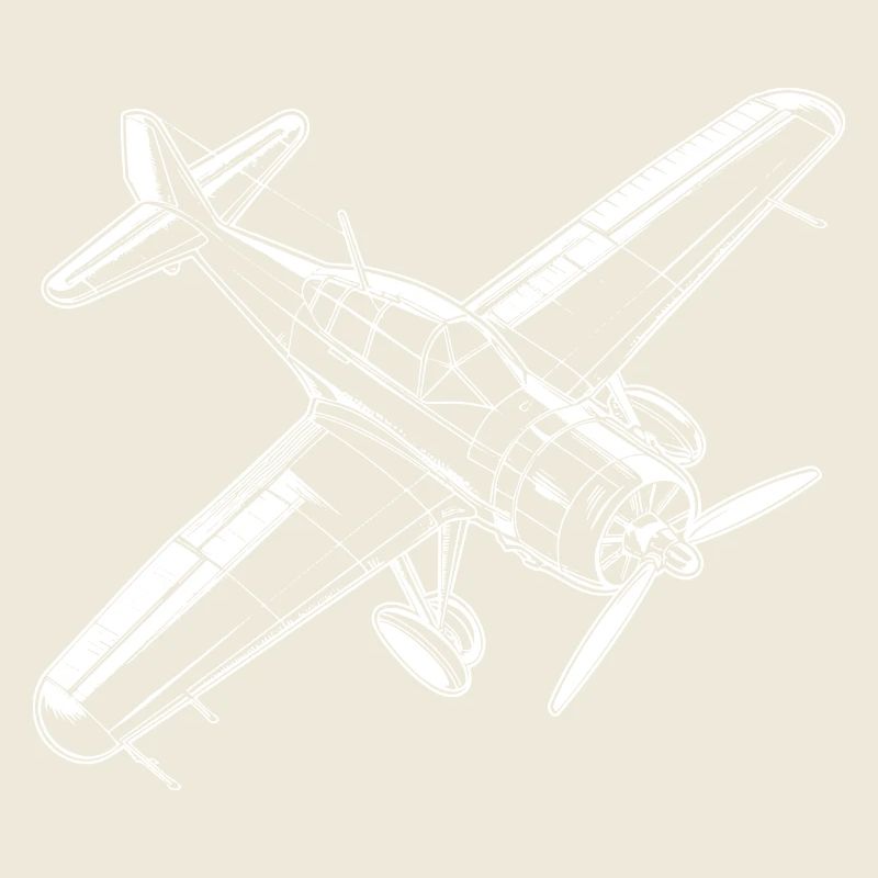 Avion à hélice