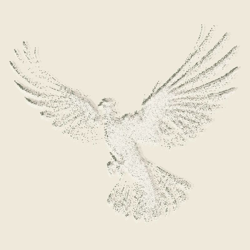 Taube | Heilig-Geist-Hemd | Christliches Symbol