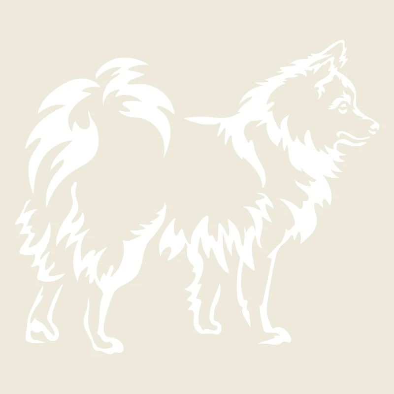 Spitz "Black Edition"