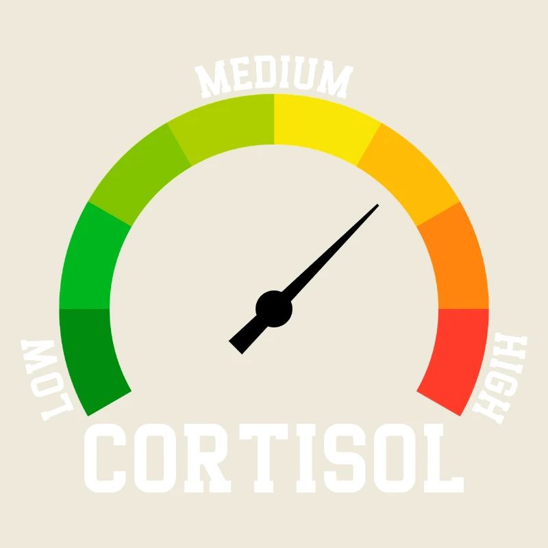 Niedriges Cortisol, sogar niedriger Wert
