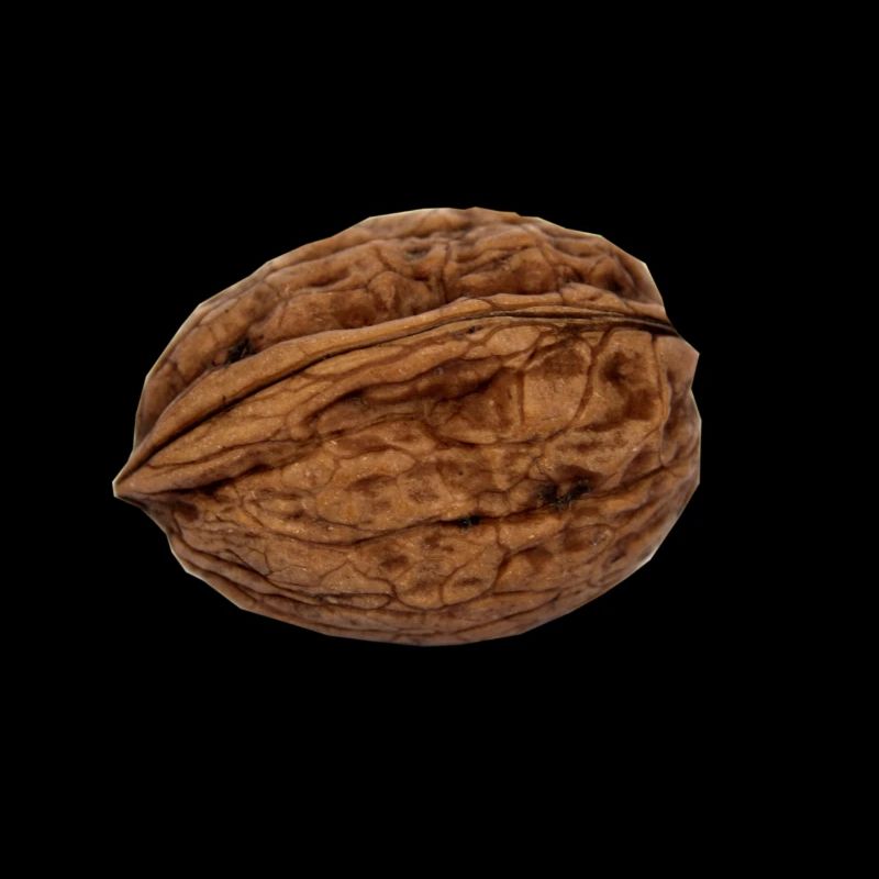 walnut