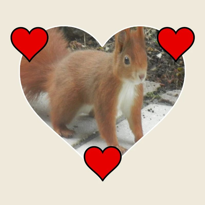 Eichhörnchen Squirrel Liebe Love Herz