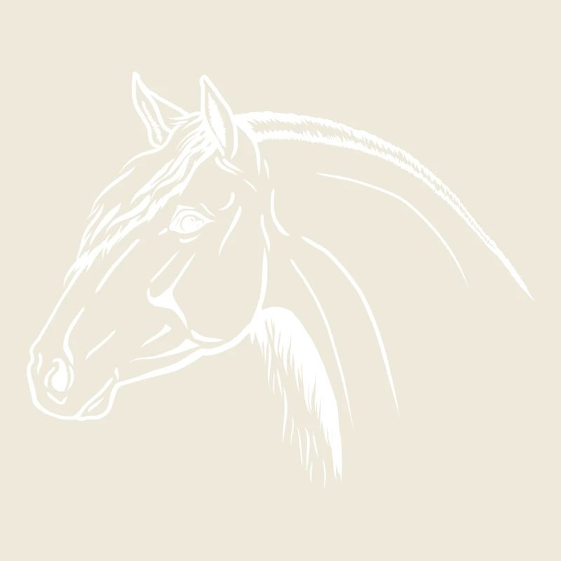 Andalusier Portrait