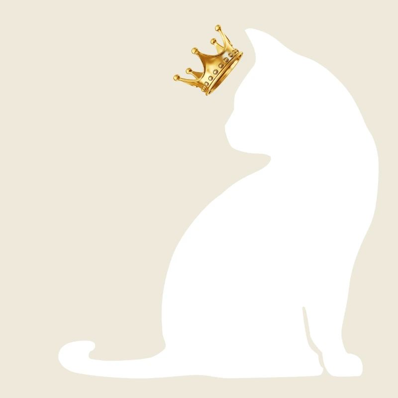 chat couronne