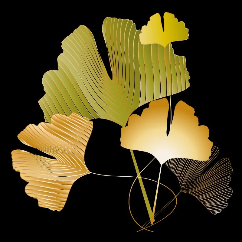 Feuilles élégantes de ginkgo doré et vert