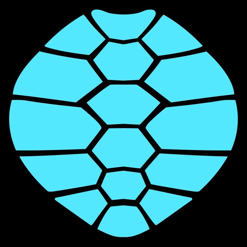 Schildkrötenpanzer Muster Schildkröte Symbol cool