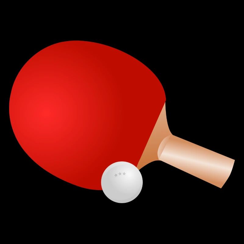 Tischtennisschläger