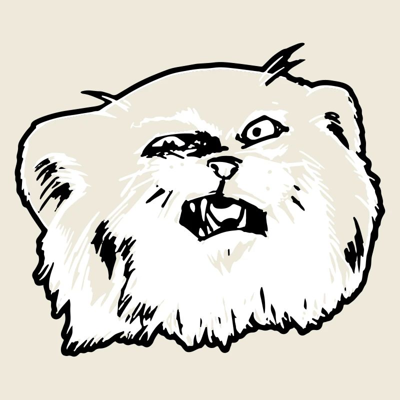 Pallaskatze Manul Gesicht