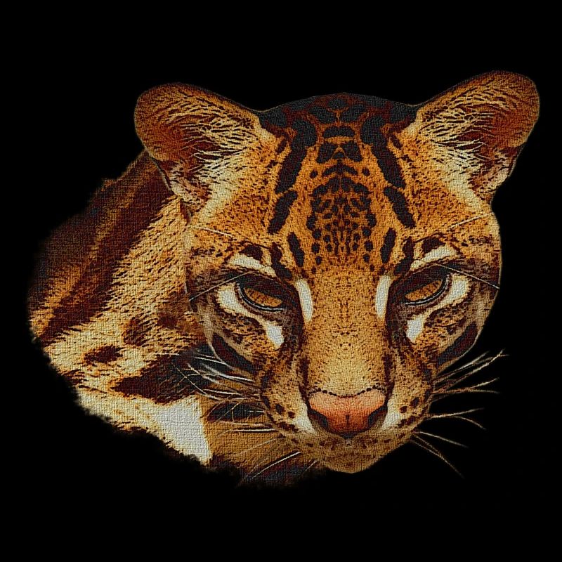 Ocelot Head, Big Cat, Animal Faces