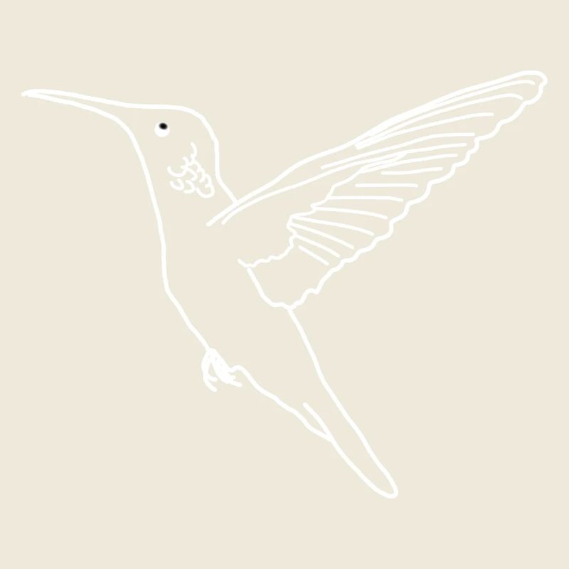 Hummingbird lineart