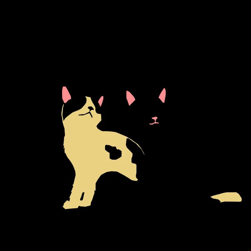 2 cats