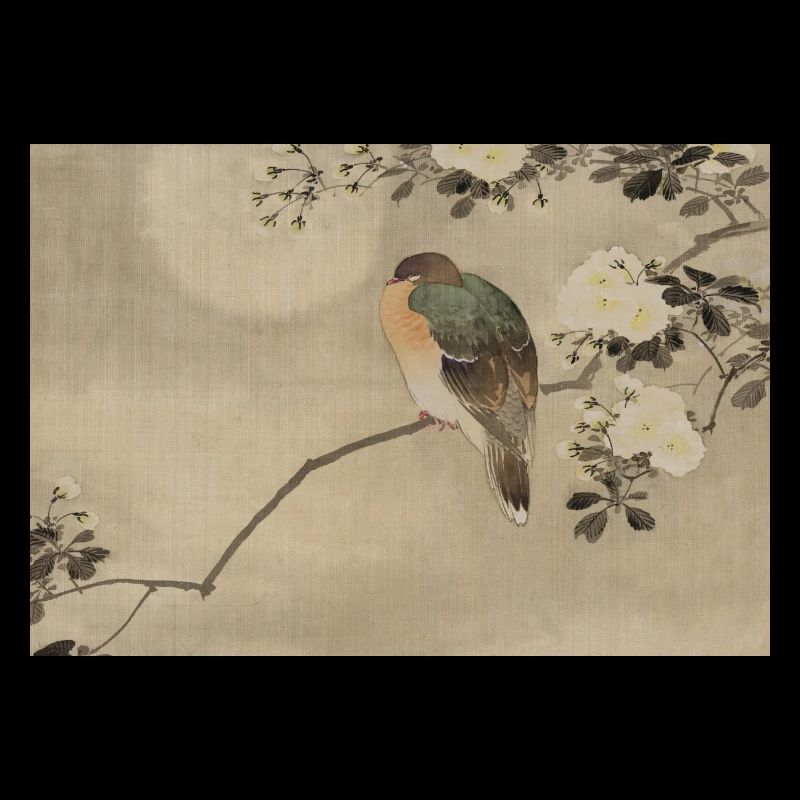 Asian bird