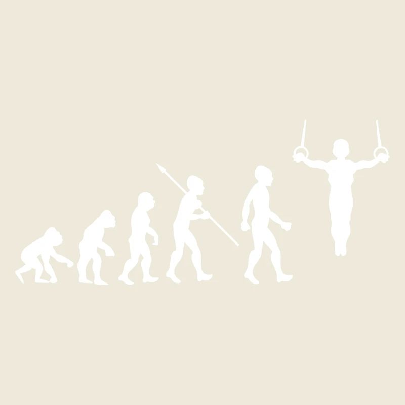 Evolution Gymnastics Gymnastics Acrobatics Gymnastics