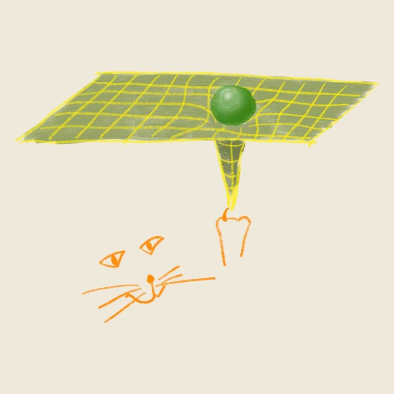 Die große kosmische Katze und die Raumzeit