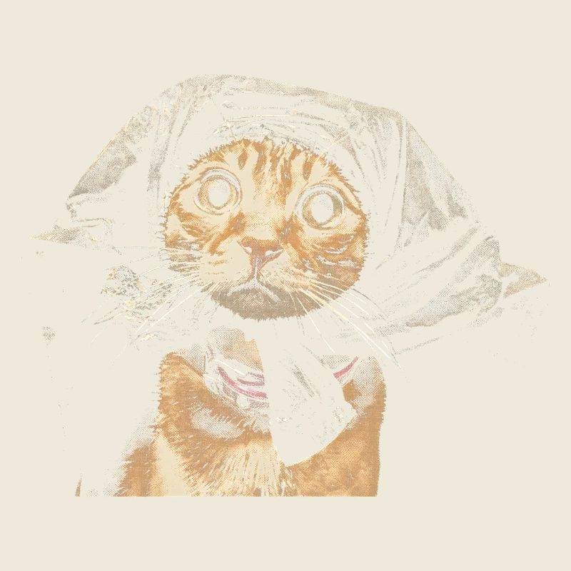 Fantôme du pelage de chat dans l’ombre