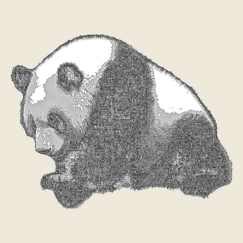 Panda groß