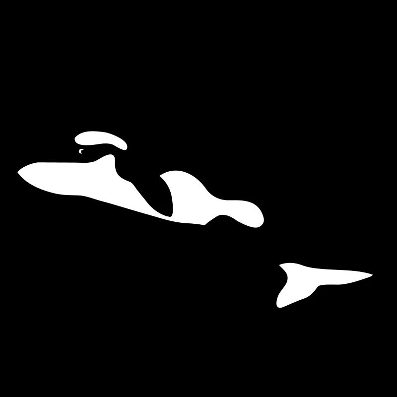 orca orka wal killer whale delfin delphin dolphin