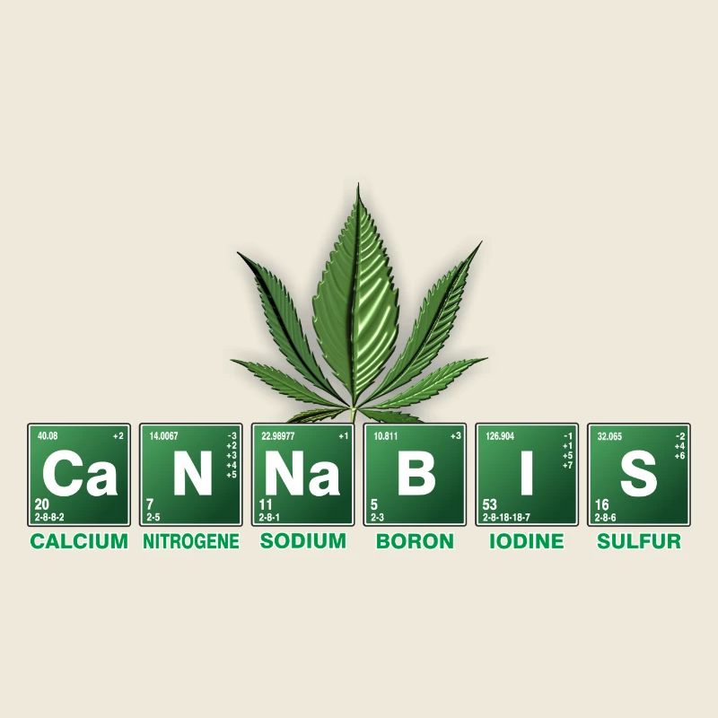 Cannabis