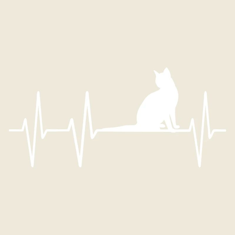 Cat Cat impulsion des battements cardiaques palpitations Cat