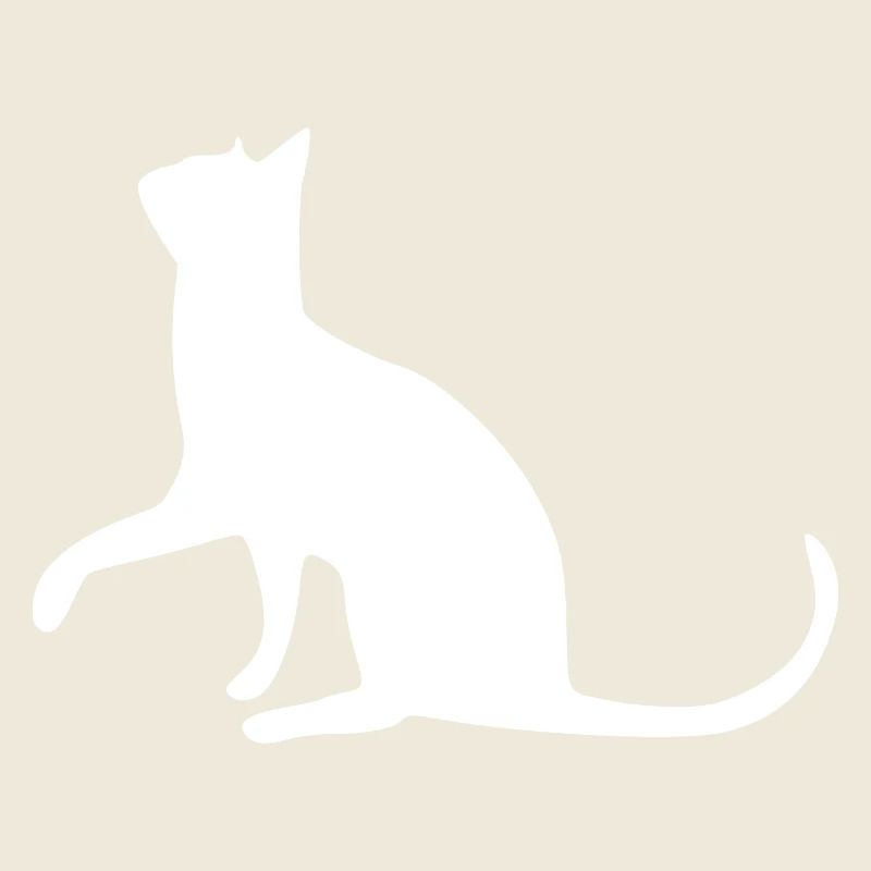 Chat chat chat chat chatte minette minou minou patte