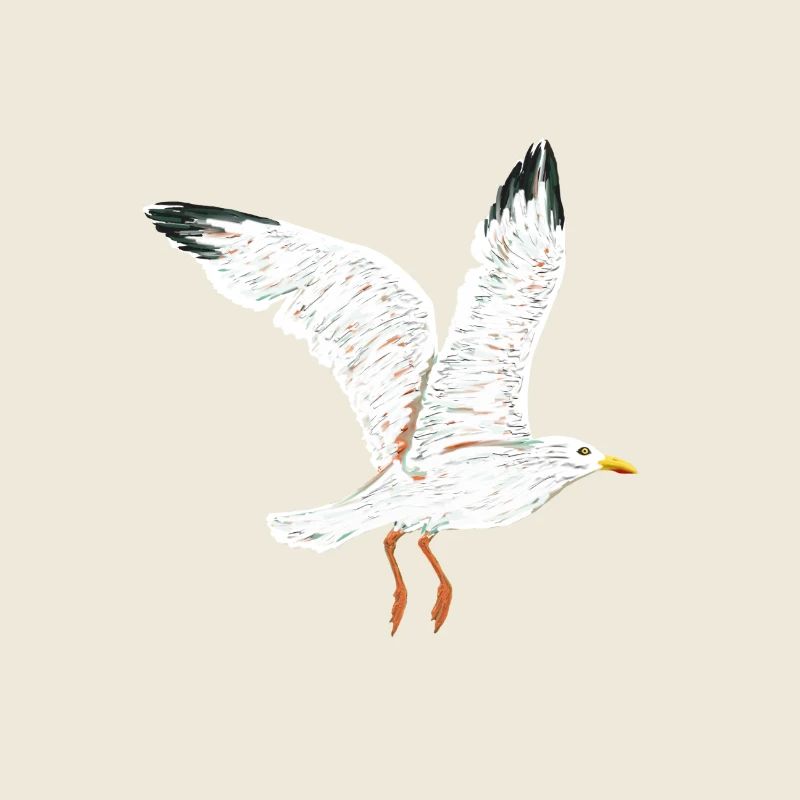 fliegende moewe vogel