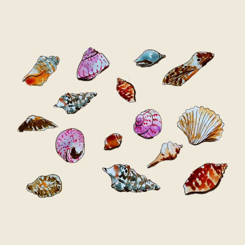 Colourful Seashells Marine Pattern