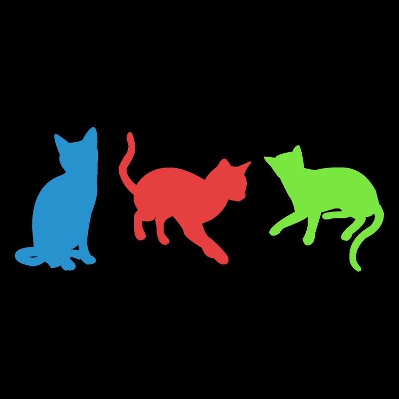 Katzen