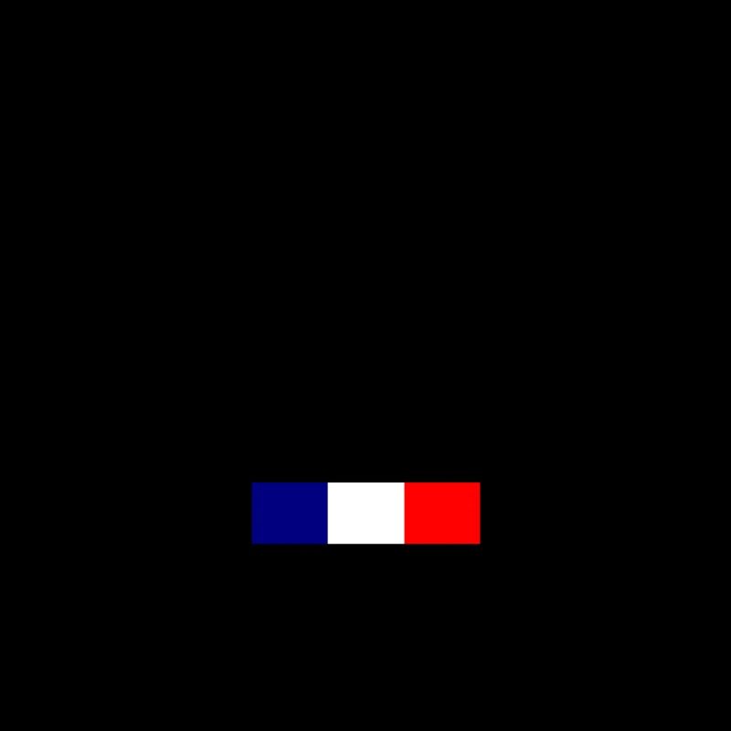 Team france