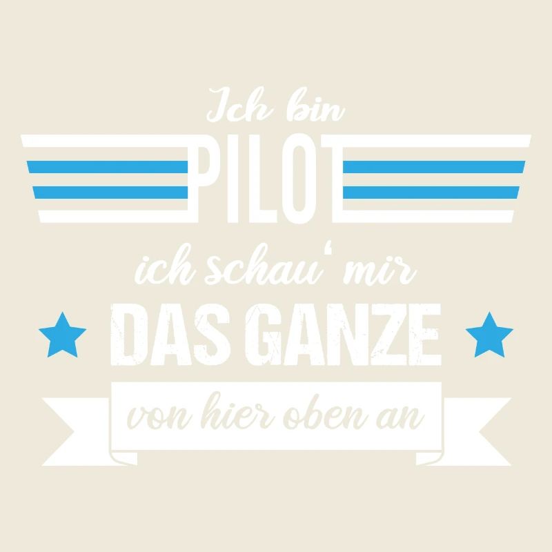 Ich bin Pilot ich schau mir das Ganze von oben an