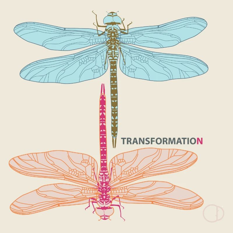 Dragonflies and Transformation by CD