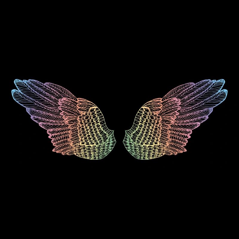 mode de vol des ailes arc-en-ciel