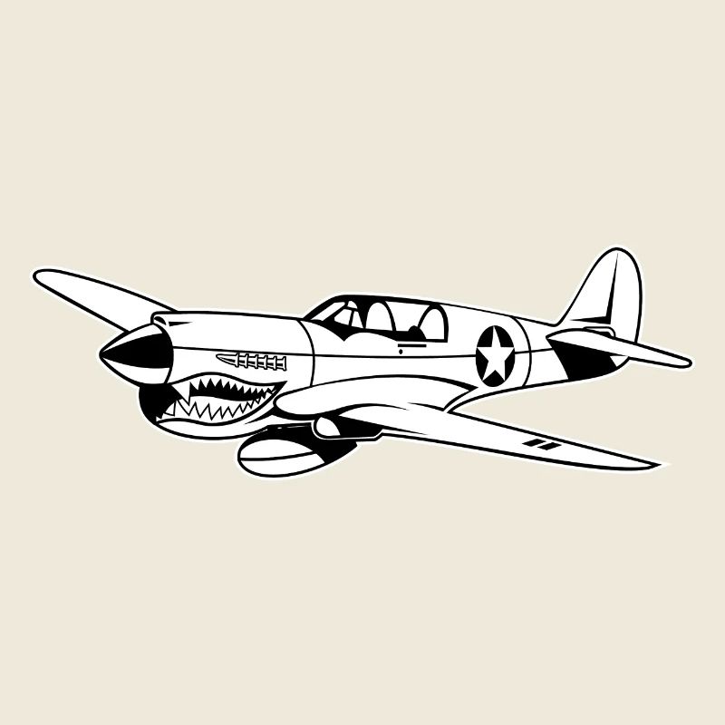 Jagdflugzeug / Kampfflieger Warhawk 02_weiß