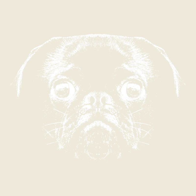 Mops / Gesicht / Kopf