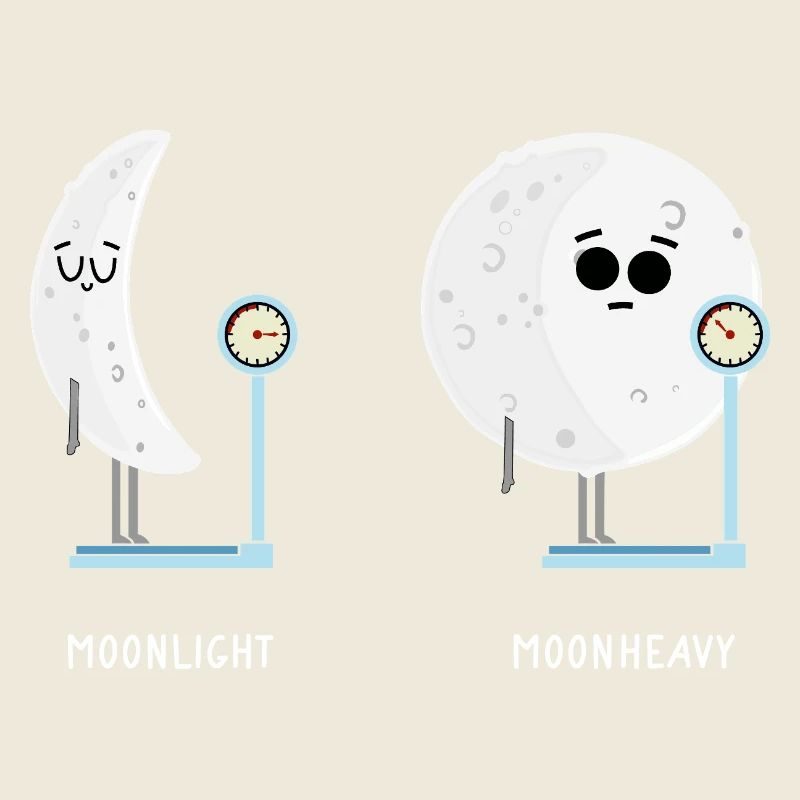 Funny Moon Phases of Moon Lunar Phases Moon light 