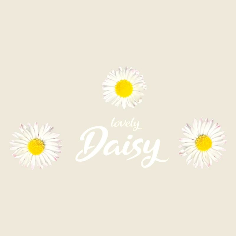 Gänseblümchen Gänseblume Frühling