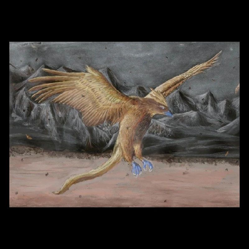 Wüstenflug Drachenvogel
