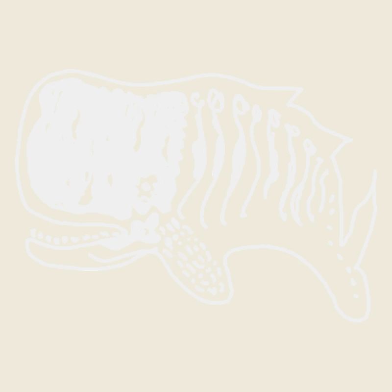 Baleine