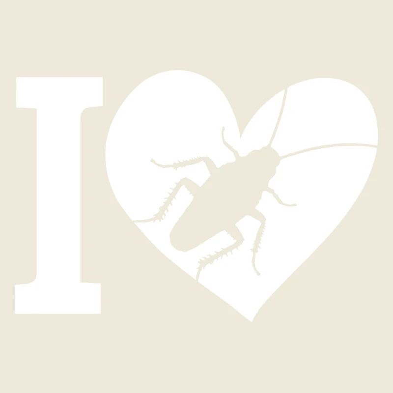 cockroach insect