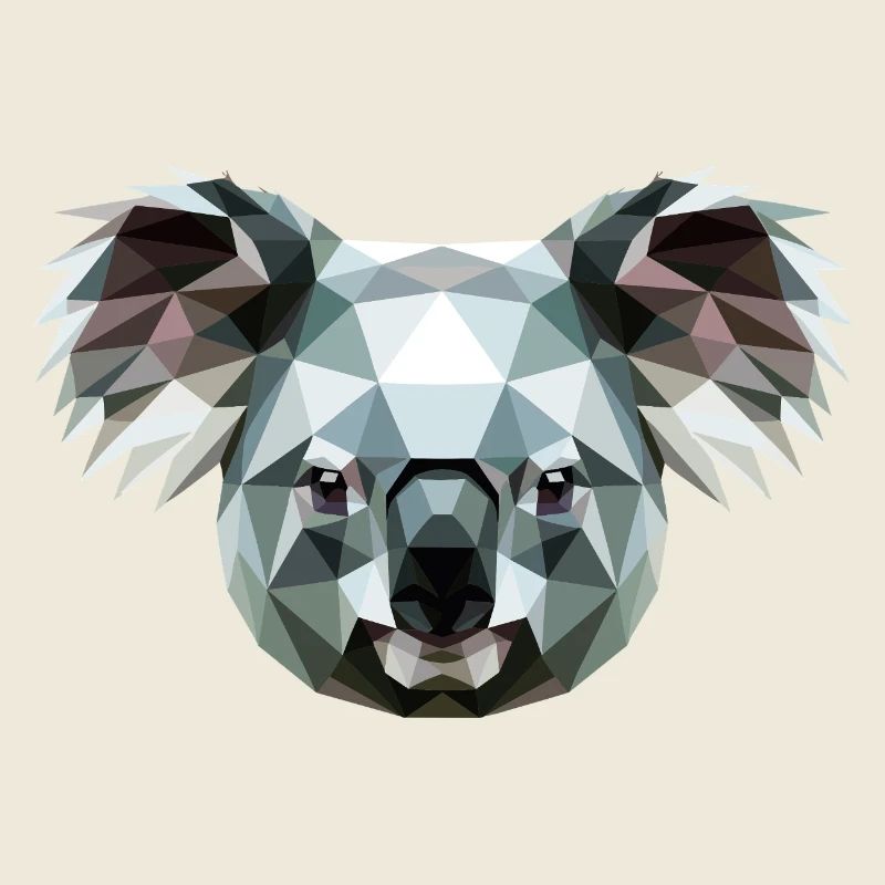 Koala Bär Australien Koalabär Süße Koala Bären