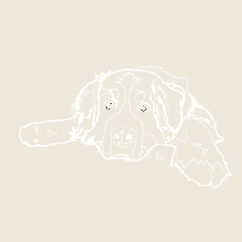 Bernese Mountain Dog