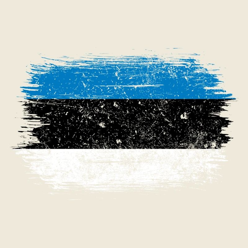 Drapeau à coups de pinceau bleu-blanc