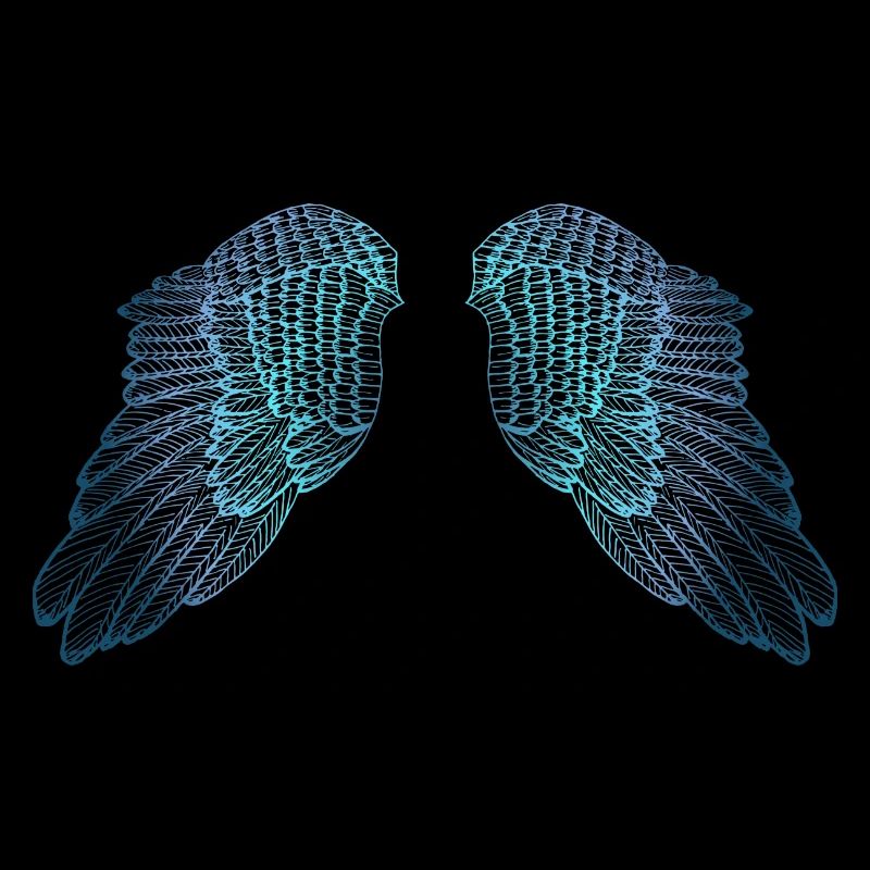 Ailes d'ange aux tons bleus