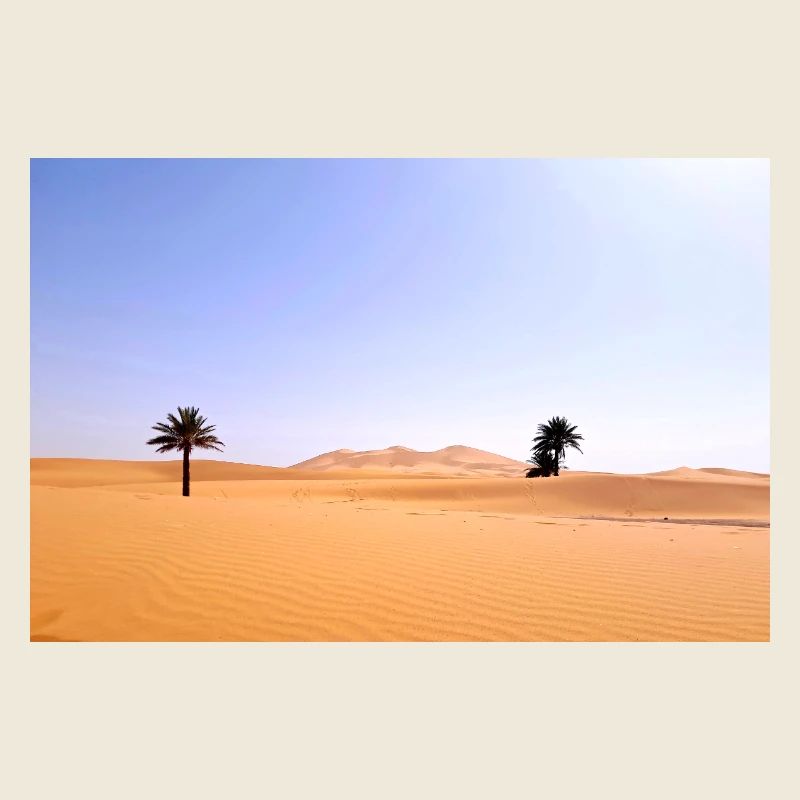 Solar Palms in Golden Desert